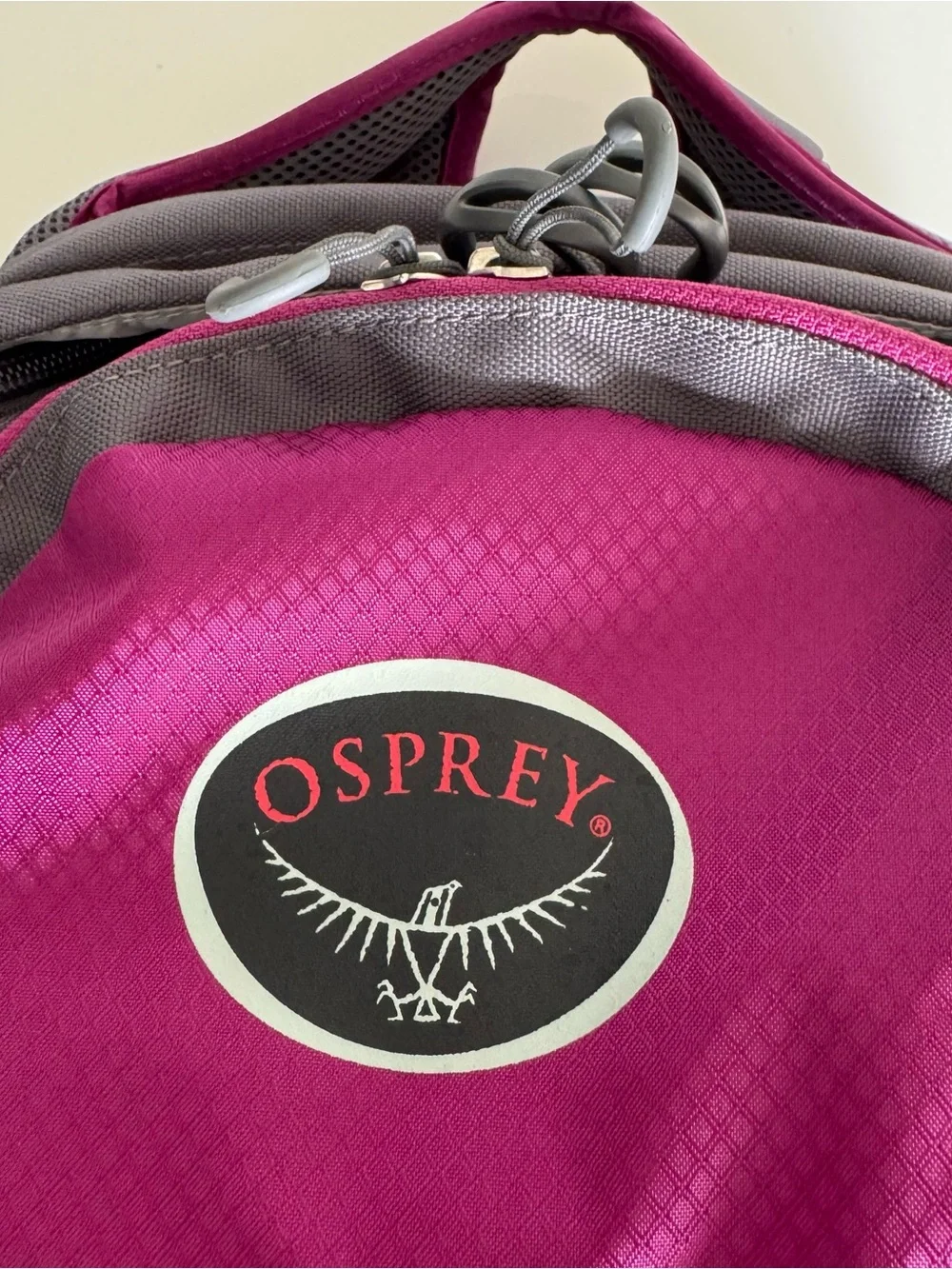 OSPREY daylite backpack